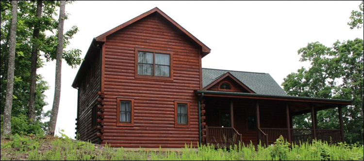 Professional Log Home Borate Application  Roanoke County, Virginia